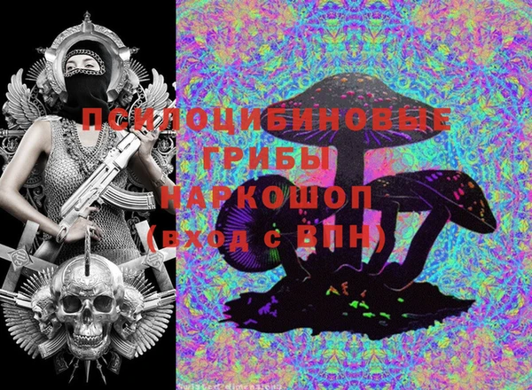 a pvp Абинск