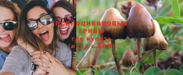 a pvp Абинск