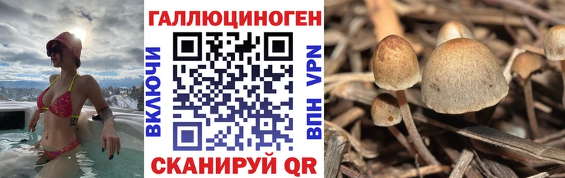Псилоцибиновые грибы мицелий  купить   Ряжск 